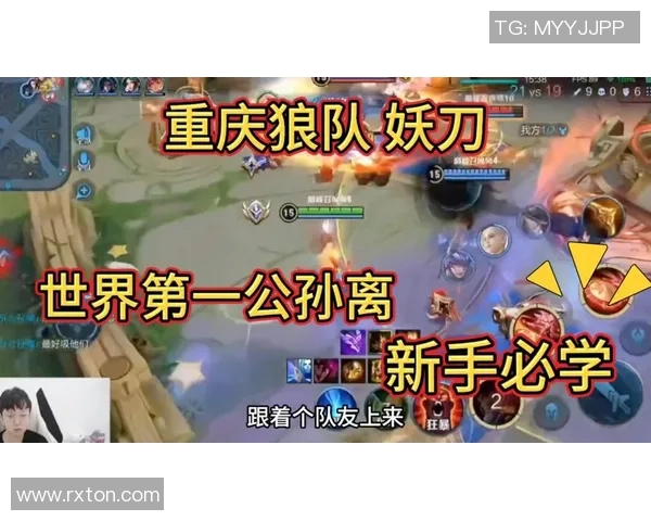 妖刀王者的传说与宿命探秘剑光背后的英雄与阴影交织